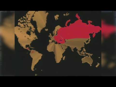 100 Years of Fatima - Fr. Joe Roesch, MIC, Episode 5 | Marians of the ...